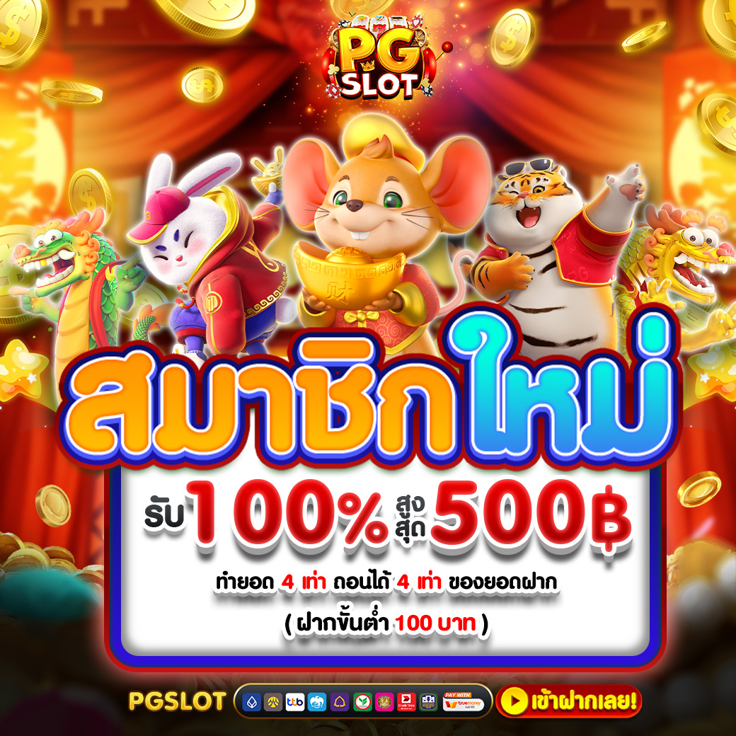 สมาชิกใหม่ 100%